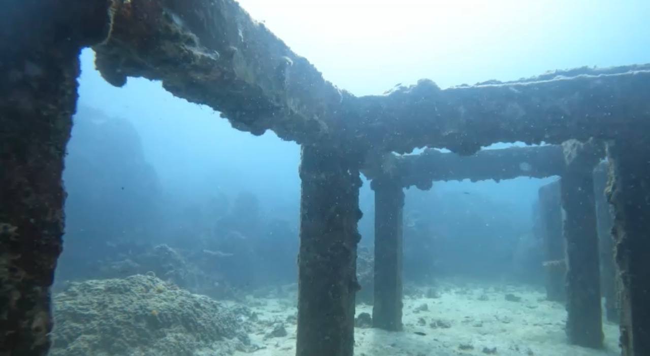 Artificial Reef Structure
