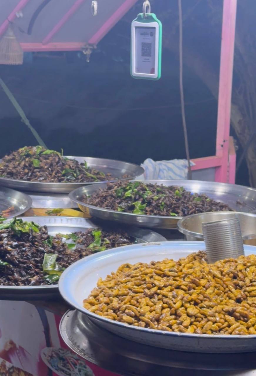 Insect Stall at Night Market