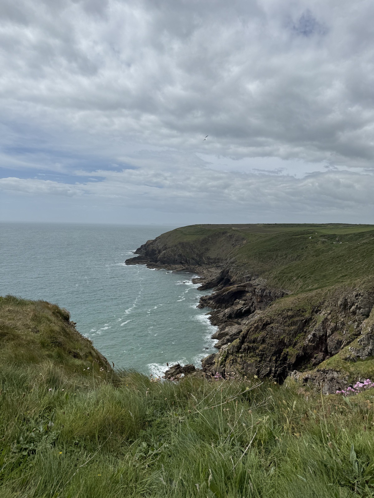 The headland from the cliff walk