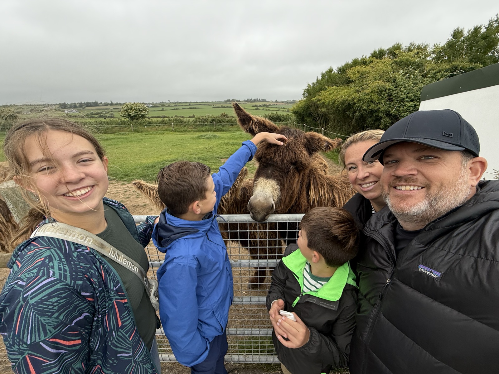 Saying hello to the donkeys