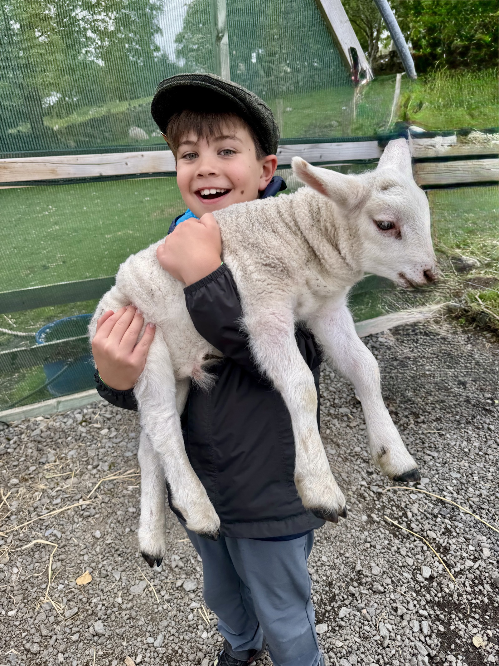 One very happy lamb holder