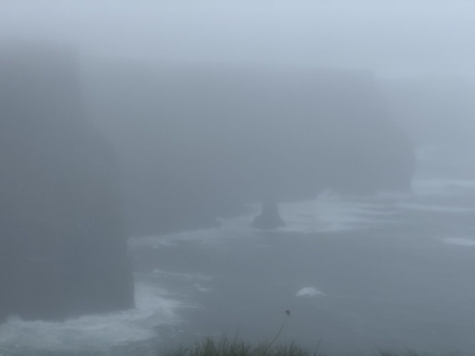 The cliffs in the fog