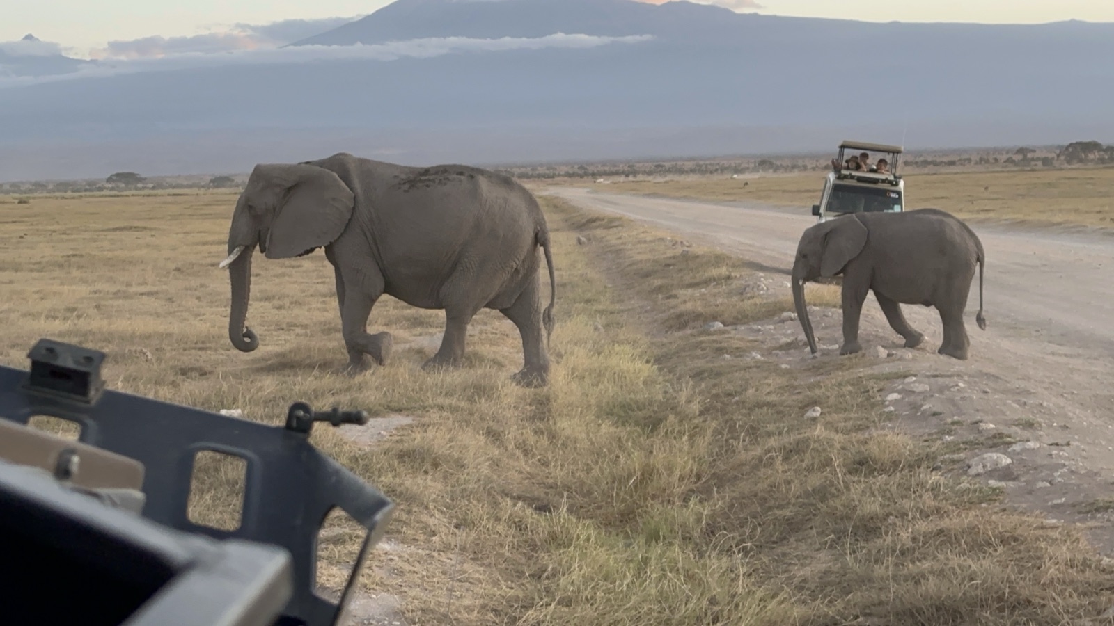 Elephants crossing the road in Amboseli, with Kilimanjaro in the clouds
