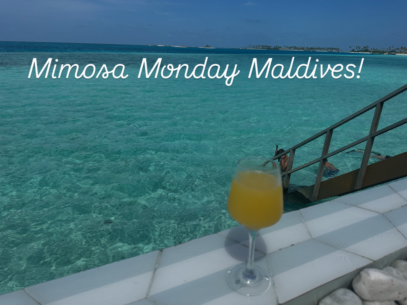 A mimosa on the deck above the lagoon